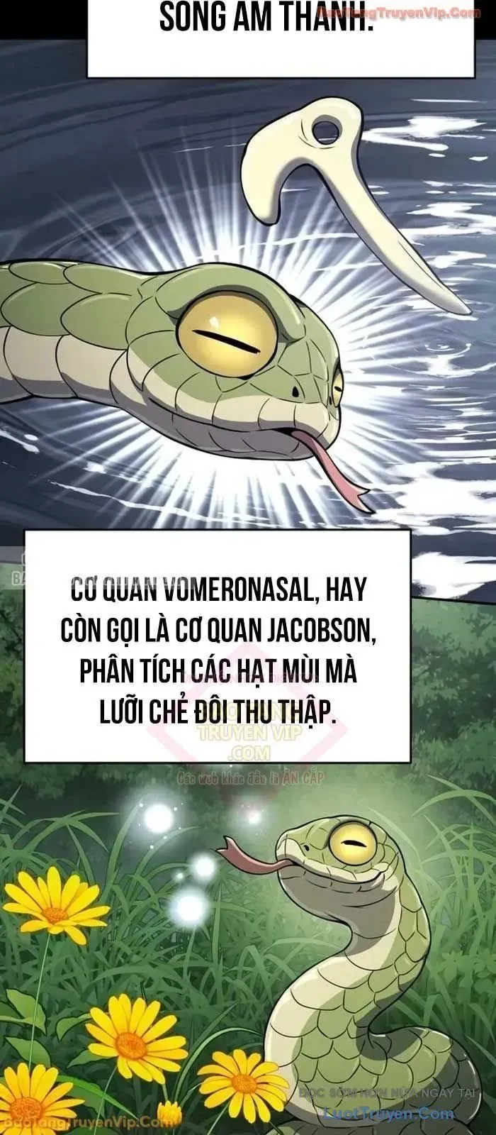 Chuyên Gia Côn Trùng Tại Đường Gia Tứ Xuyên Chap 60 - Next Chap 61