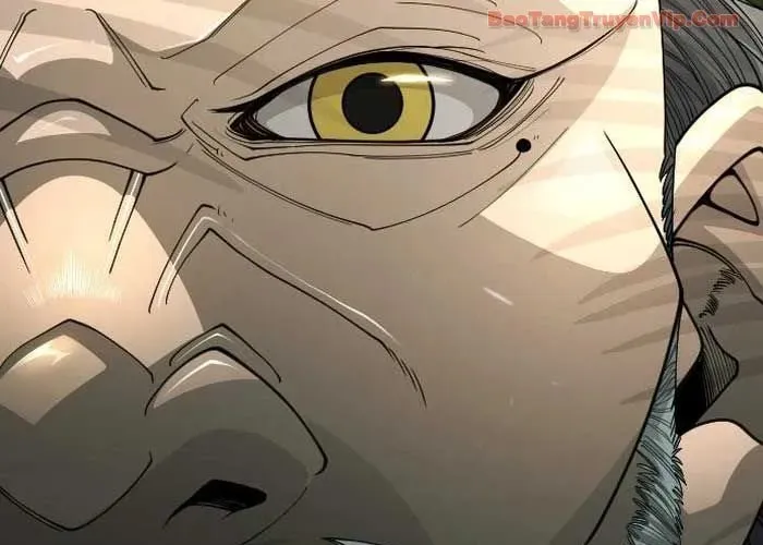 Kỷ Nguyên Siêu Anh Hùng Chap 209 - Next Chap 210