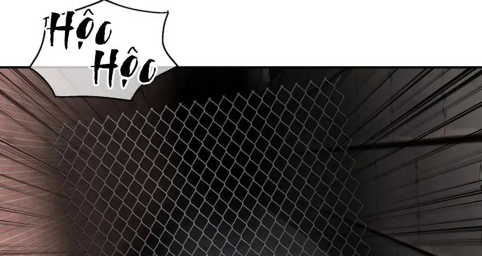 Chớ Bước Vào Nhà Hoang Chap 47 - Next Chap 48
