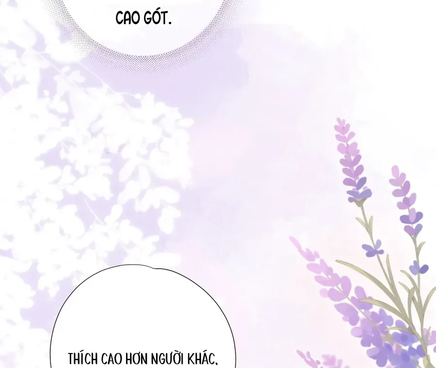 Vãn Triều Chap 4 - Next Chap 5
